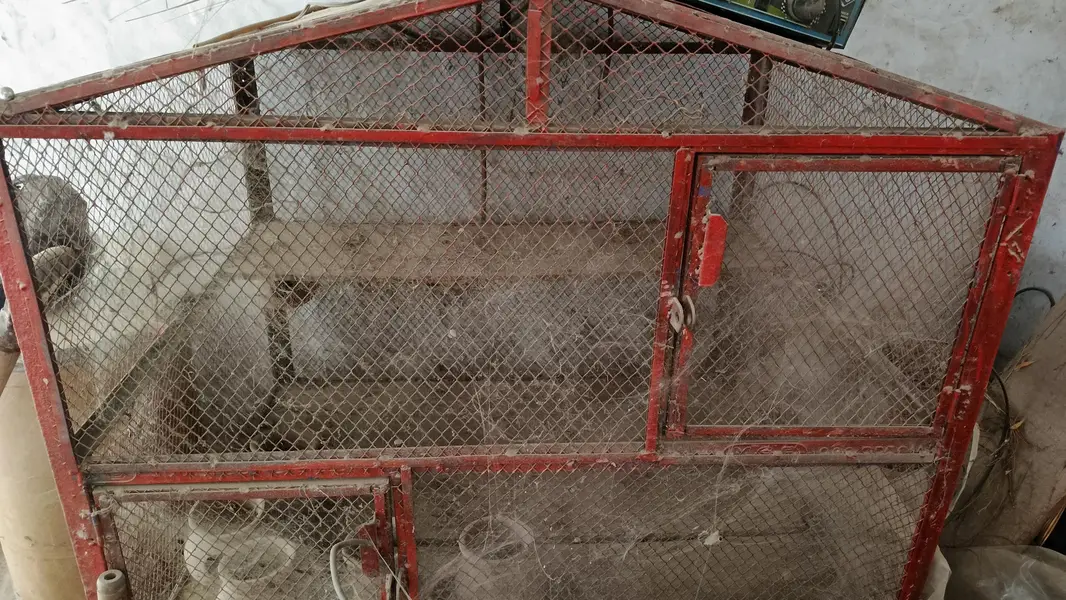 birds pinjra for sale — photo 2