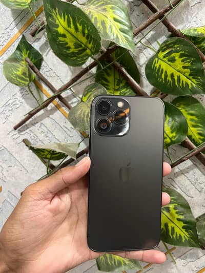 Apple iPhone 13 Pro Max Dual Pta Approve