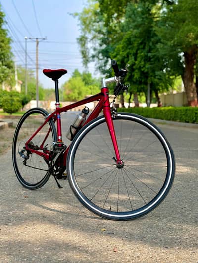 Precision Alite Hybrid Bycycle Made In Japan