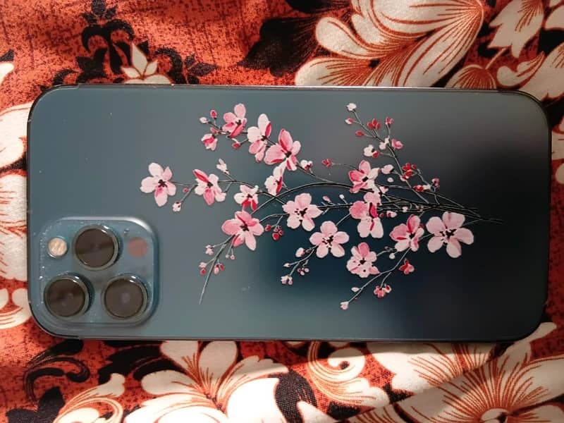 Apple iPhone 12 Pro Max 1