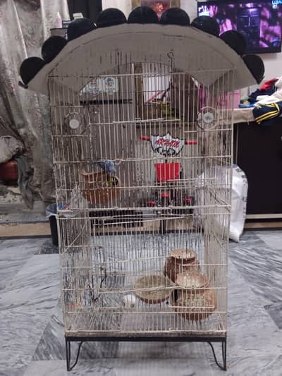 birds cage with 3 birds also available