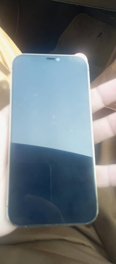 Apple iPhone 12 Pro