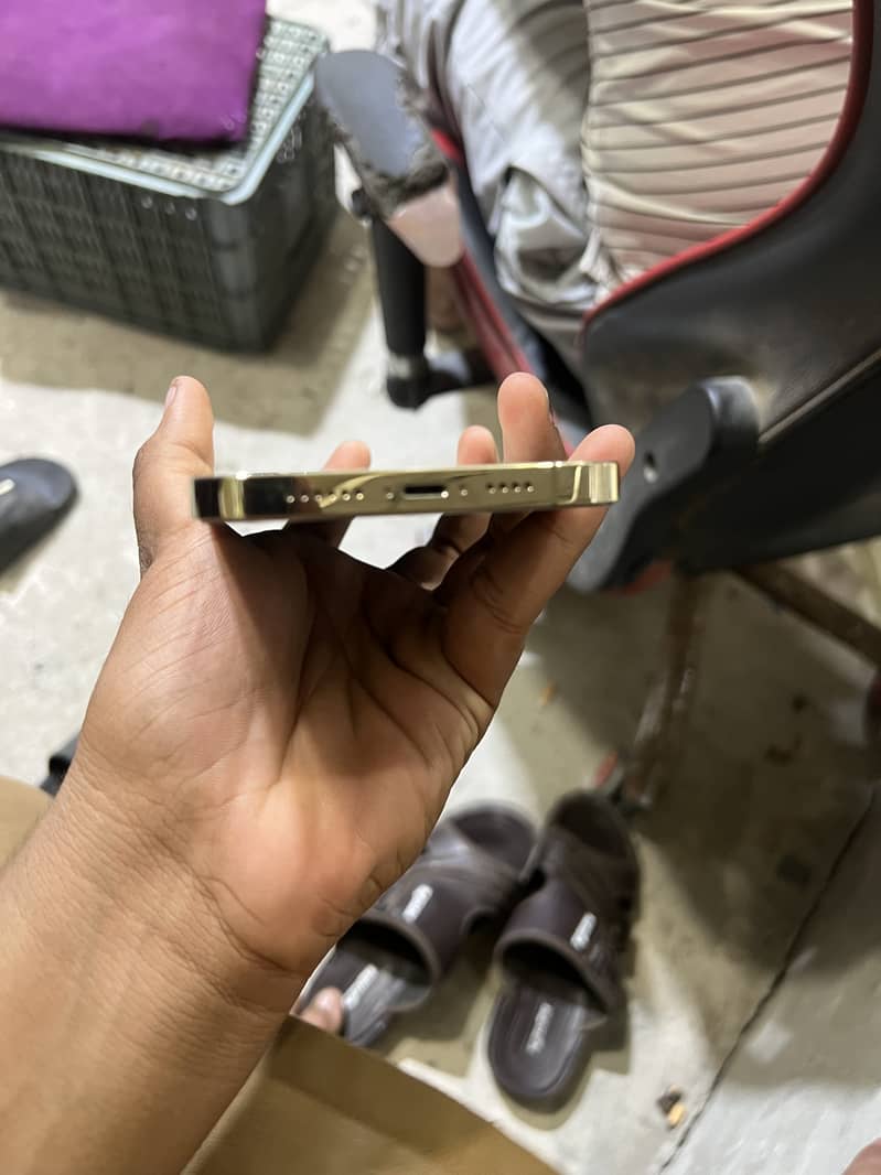 Apple iPhone 13 Pro Max 4