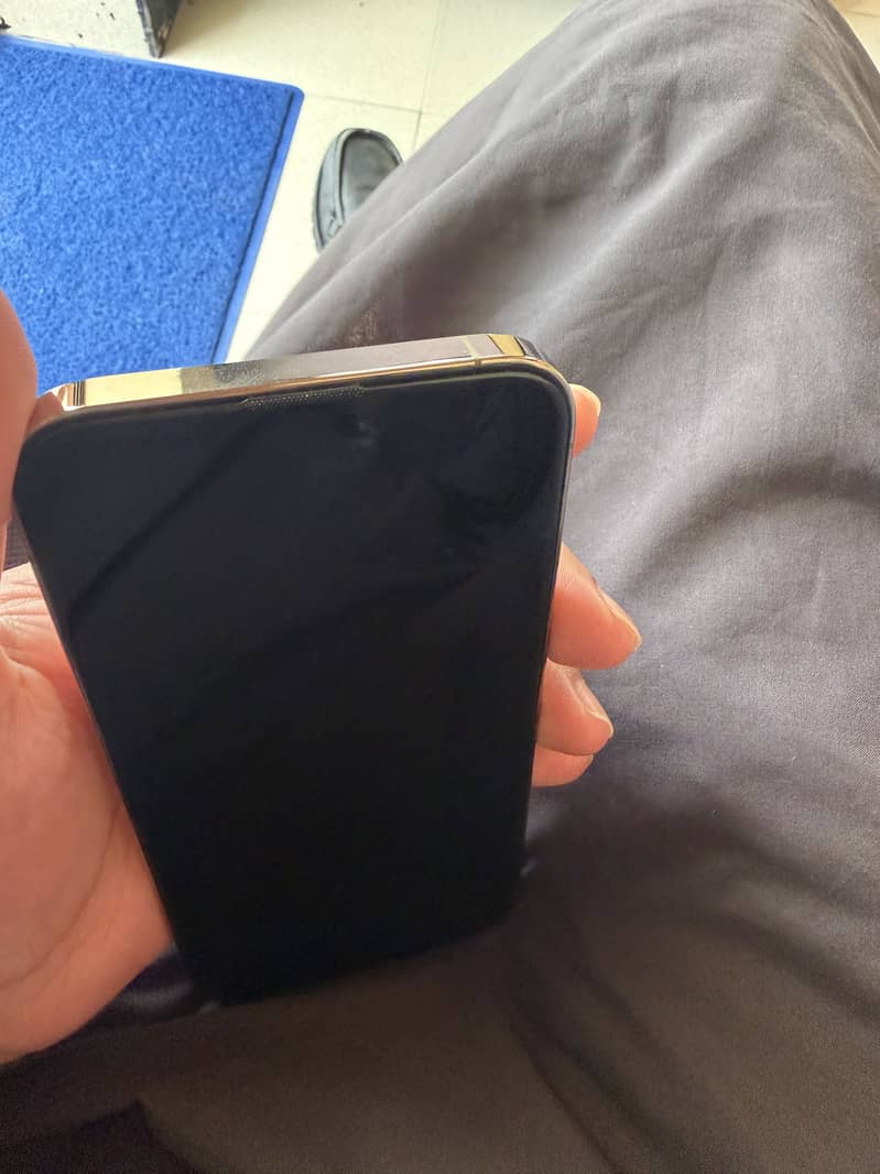 Apple iPhone 14 Pro Max 2