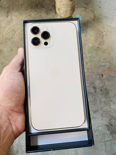 Apple iPhone 12 Pro Max