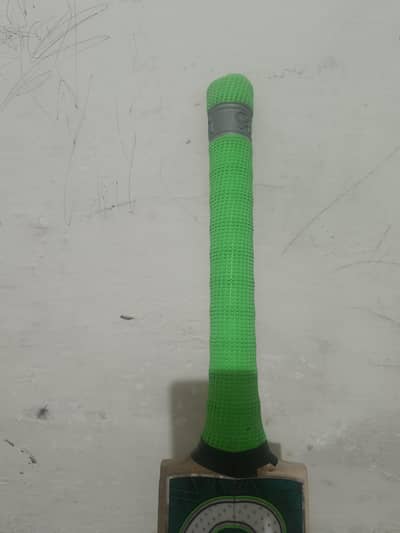 CA Plus 12000 English willow cricket bat