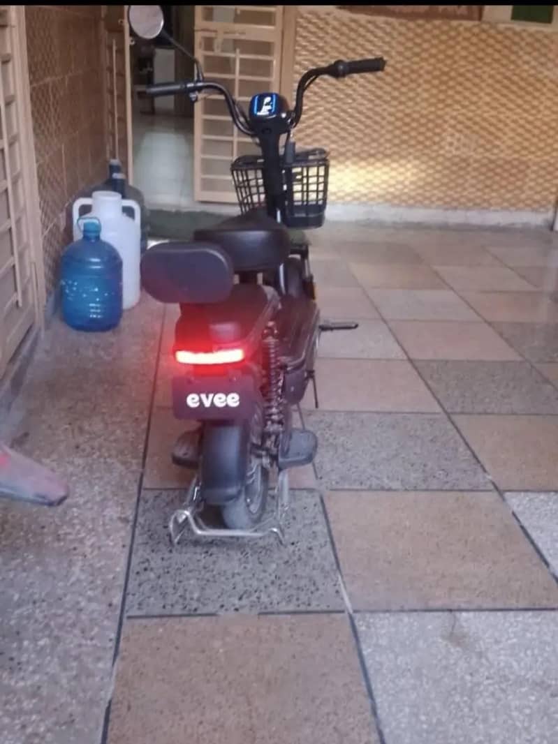 Evee Flipper 6
