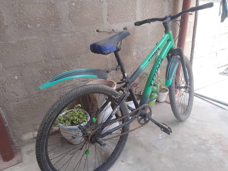 Trinx bicycle 1