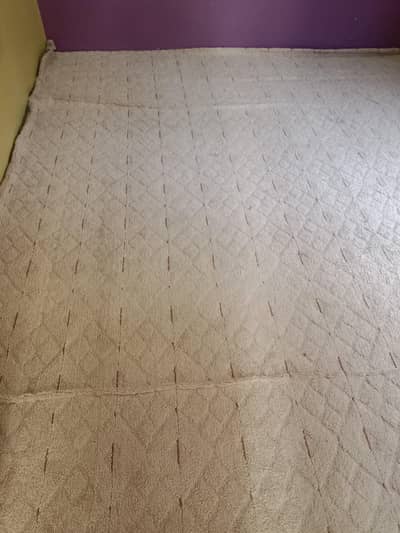 carpet