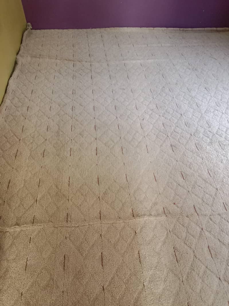 carpet 0