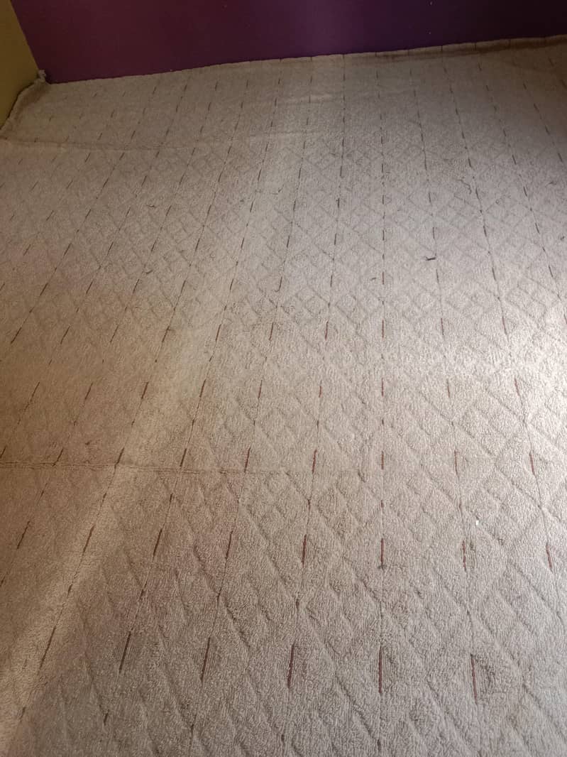 carpet 1