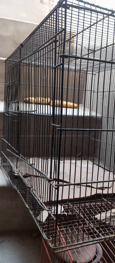 4  cages for parrots
