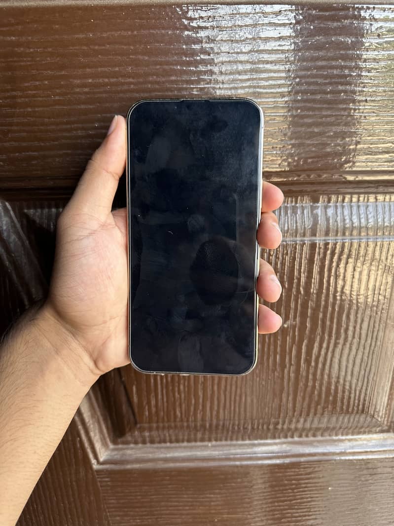 Apple iPhone 13 Pro Max 1