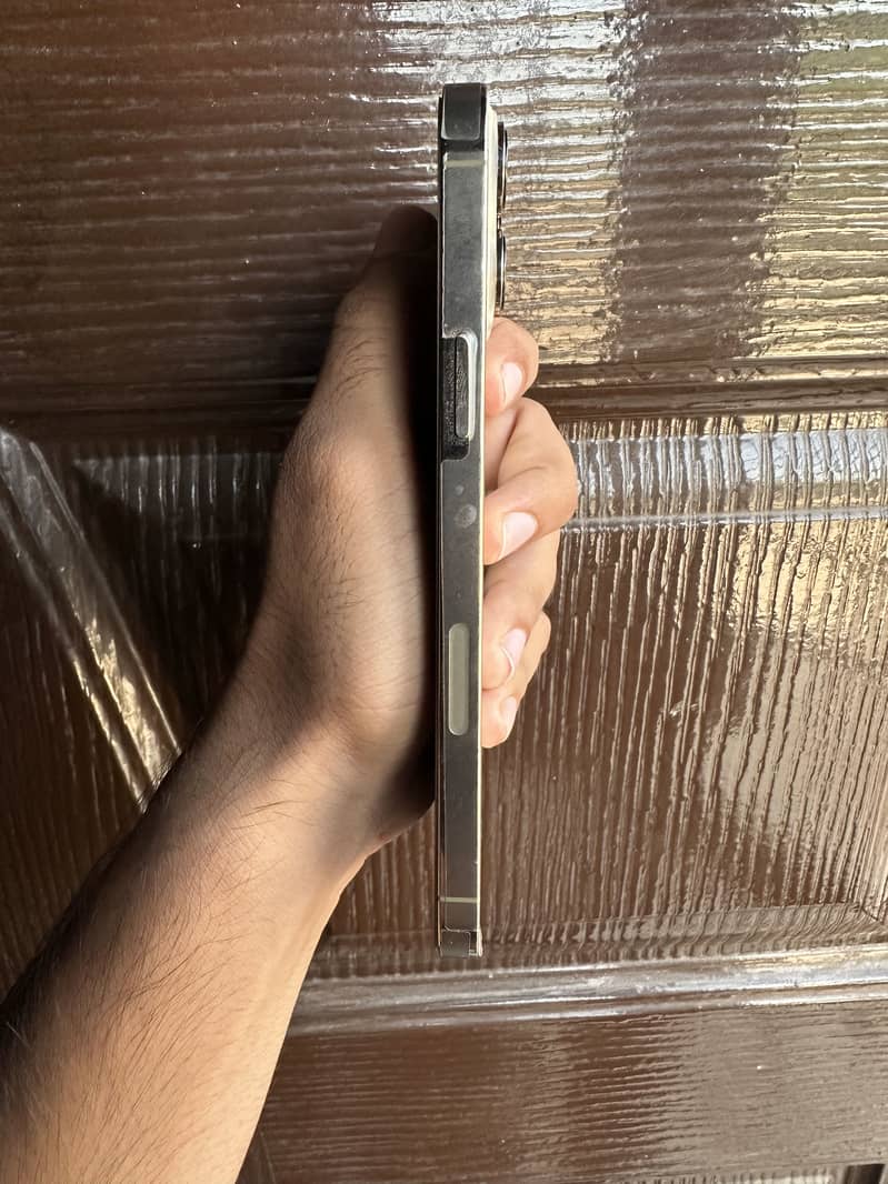 Apple iPhone 13 Pro Max 2