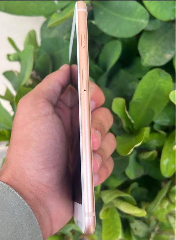 Apple iPhone 8 Plus 1