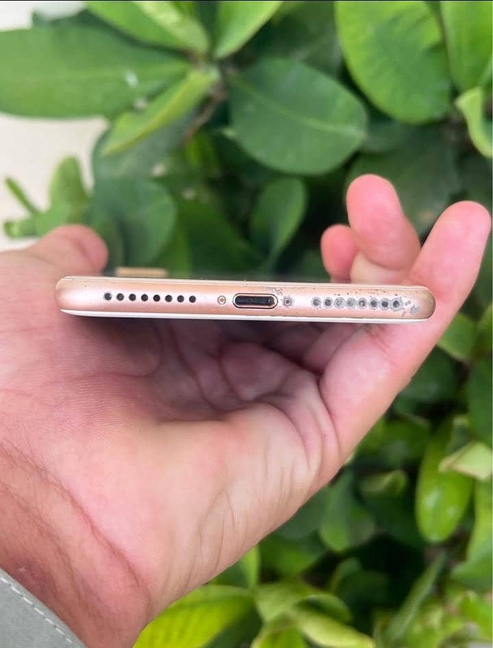 Apple iPhone 8 Plus 3