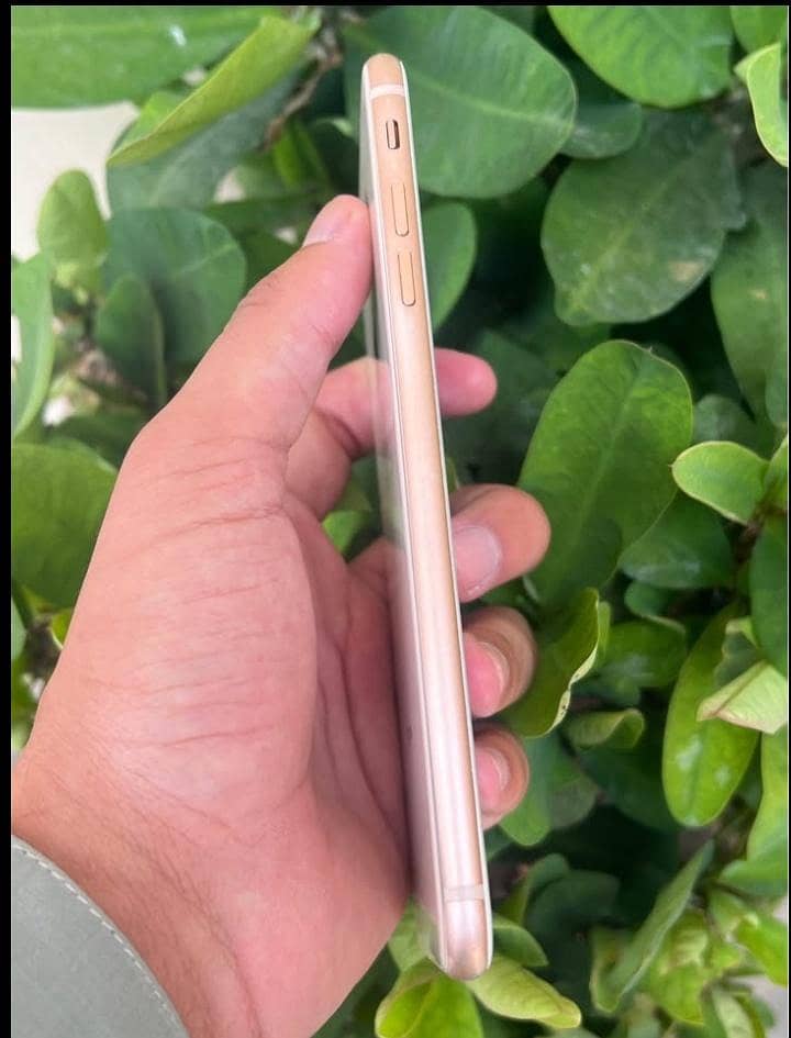 Apple iPhone 8 Plus 4