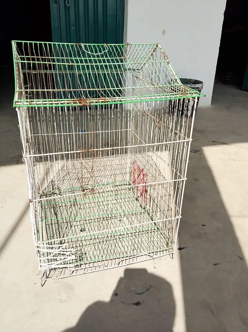 toto wala pinjra bara wala condition 10 by 9 price 1400 0347:66:27:602 — photo 3