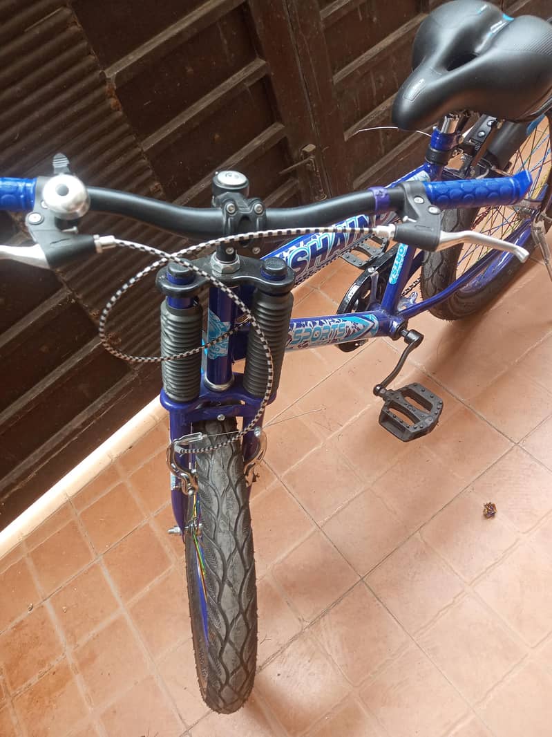cycle 1