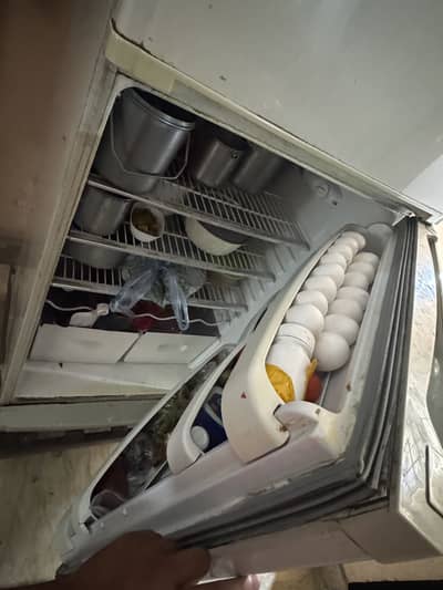 big size fridge oriant for sale