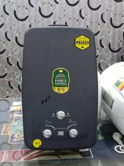 instant gas geyser