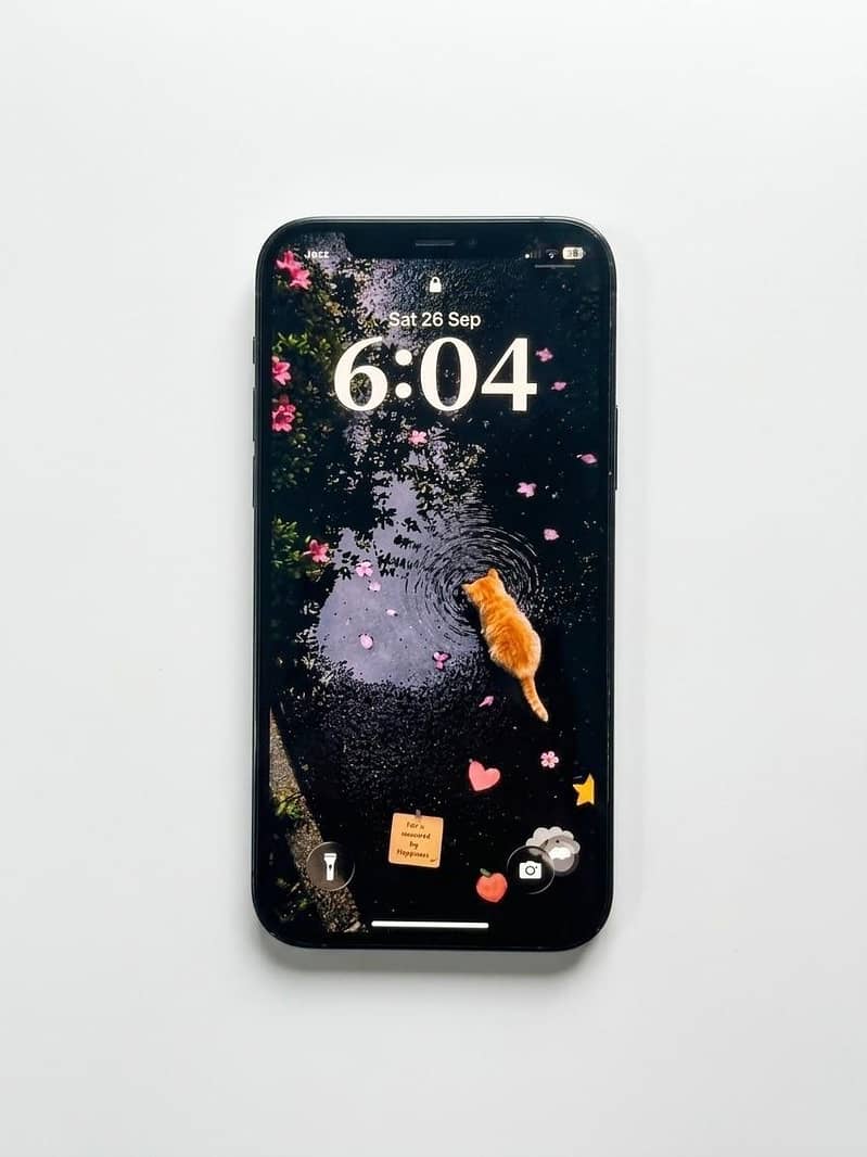 Apple iPhone 12 Pro 1