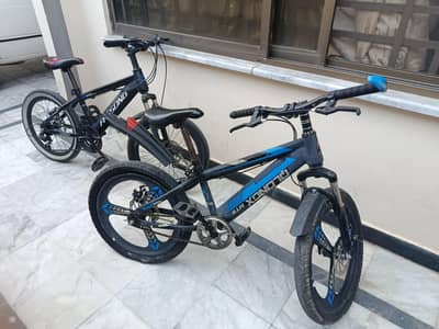 Two Cycles 24 inch Cycle Duo for Sale