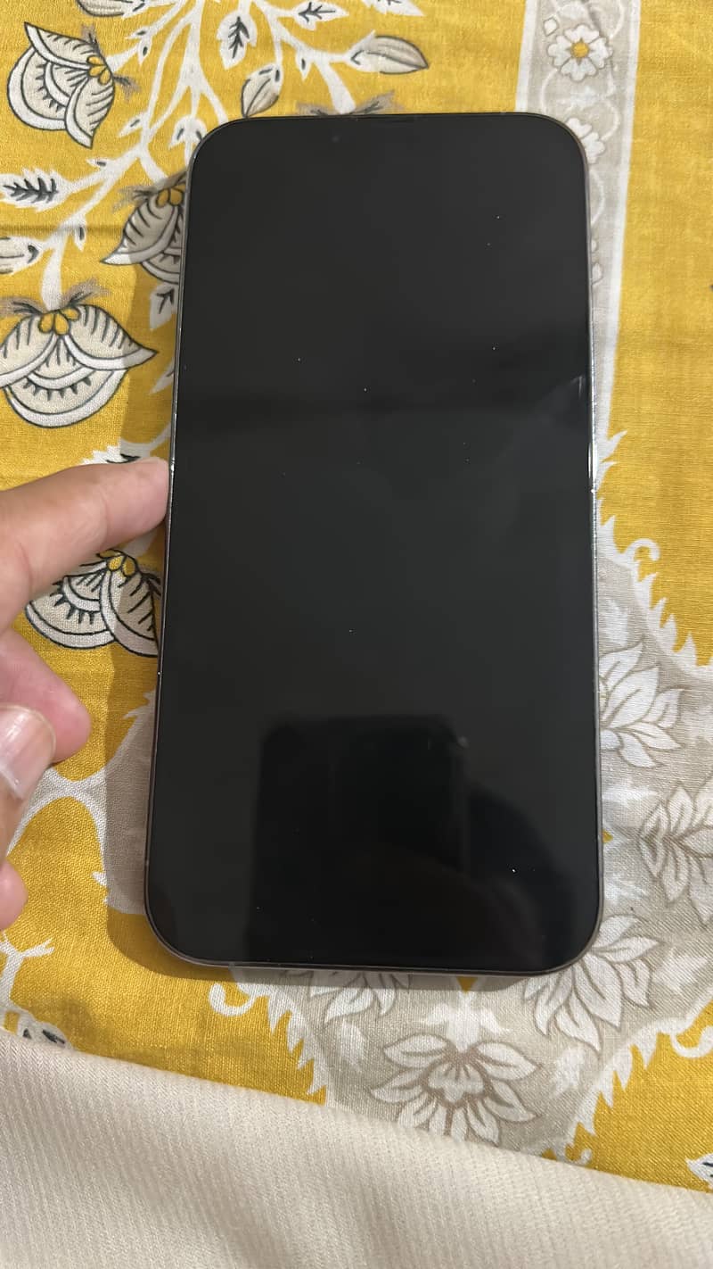 Apple iPhone 13 Pro Max 1