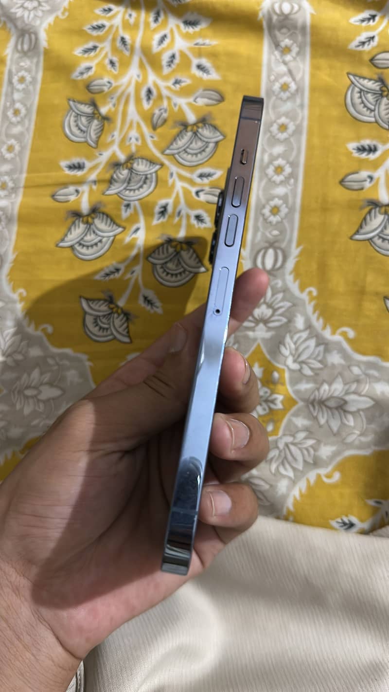 Apple iPhone 13 Pro Max 2