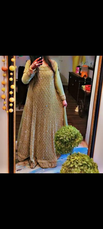 reception maxi
