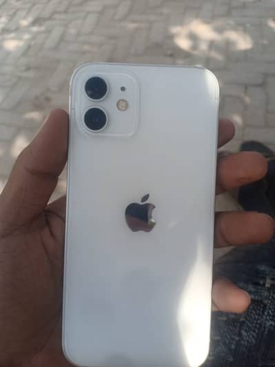 IPhone 12 pta
