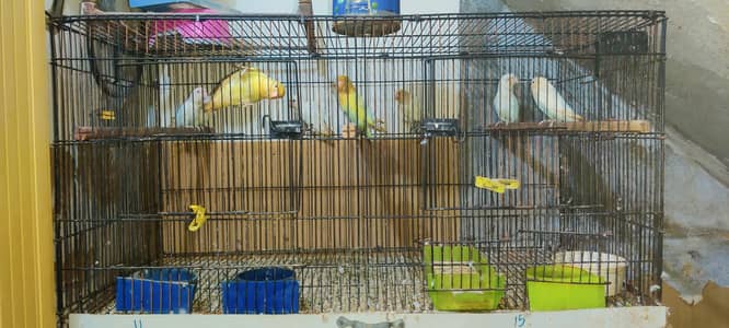 Folding Cage 1.5/. 1.5/1.5