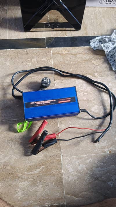 Eastern Gold Battery Charger