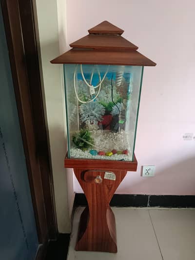 Fish Aquarium
