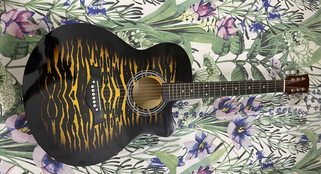 Guitar 5