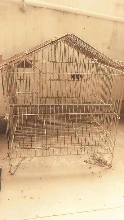 Bird Cage