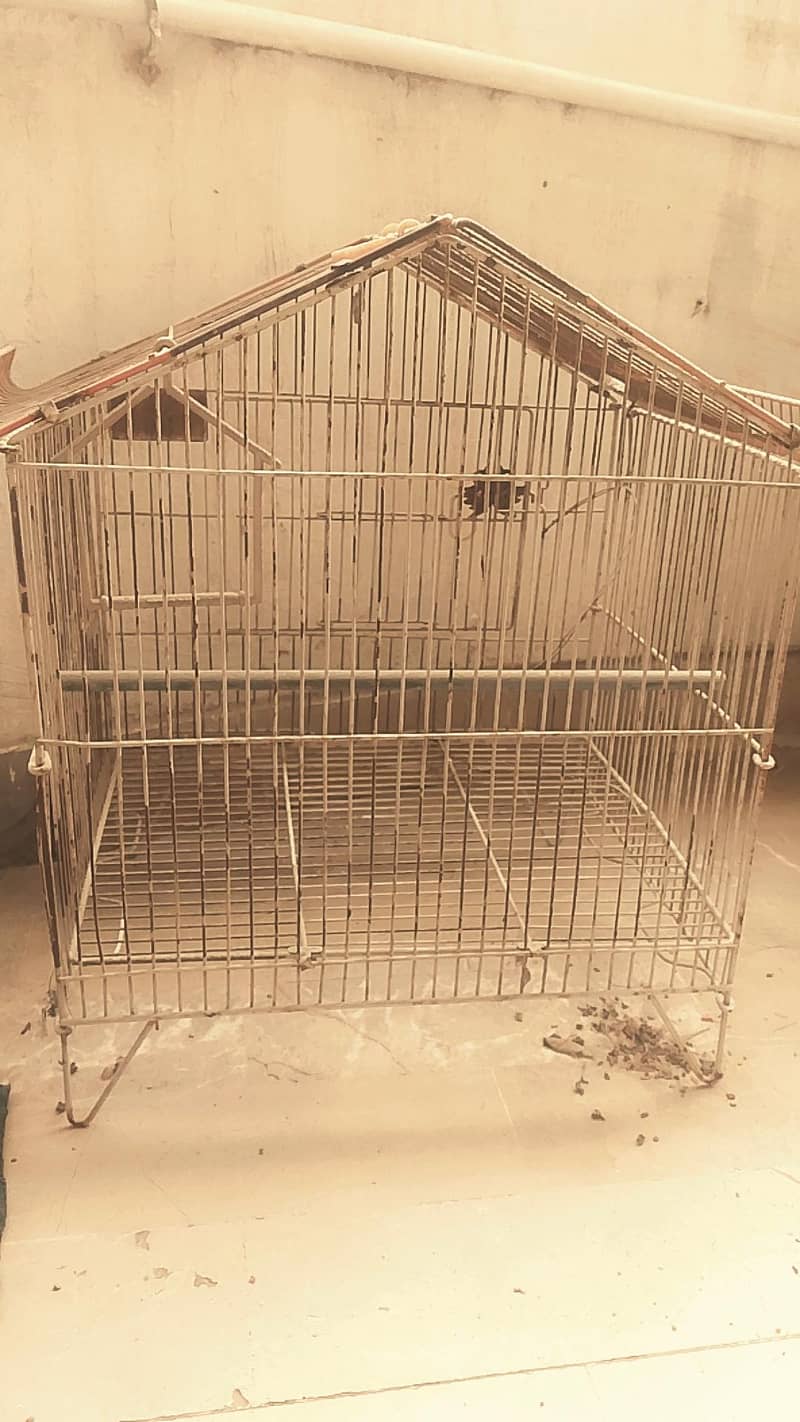Bird Cage 0