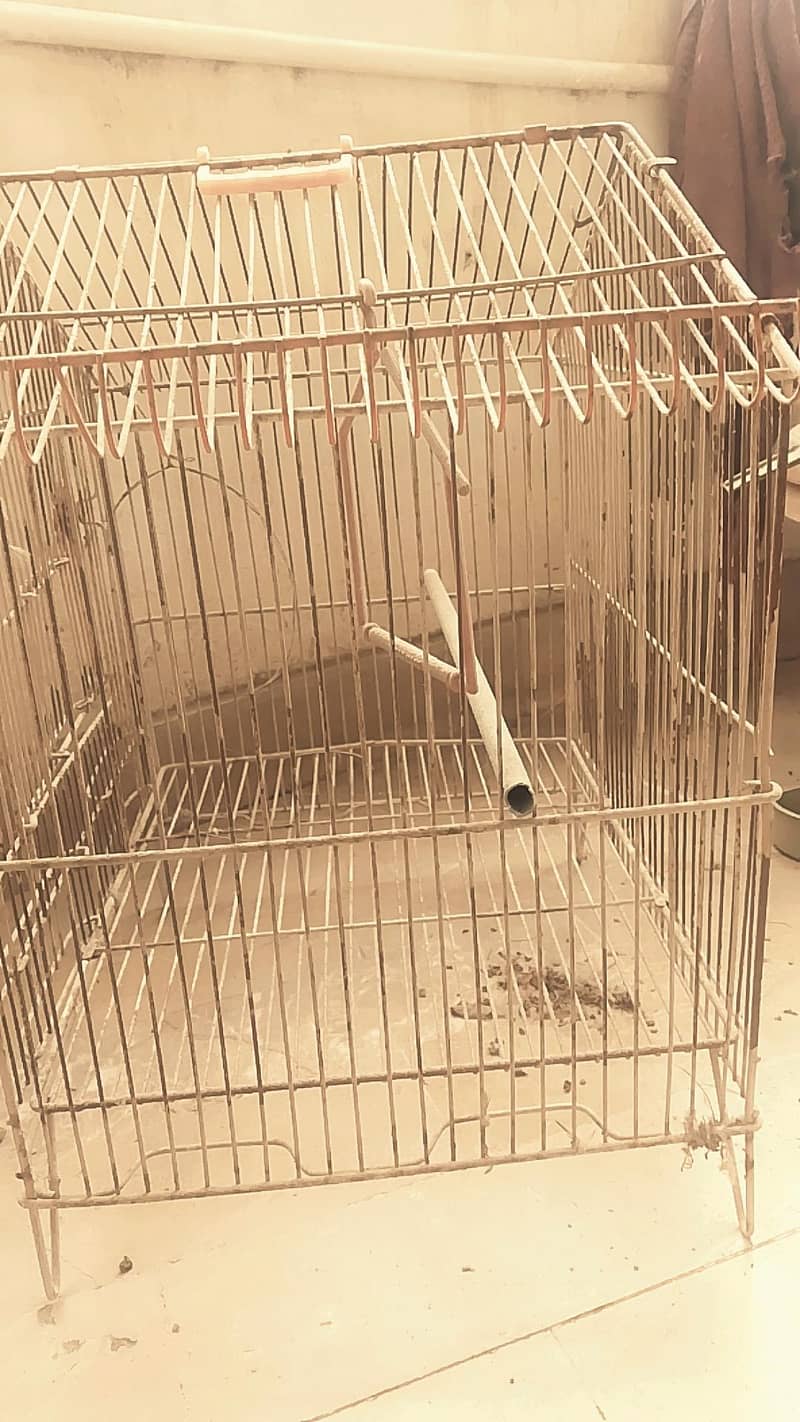 Bird Cage 1