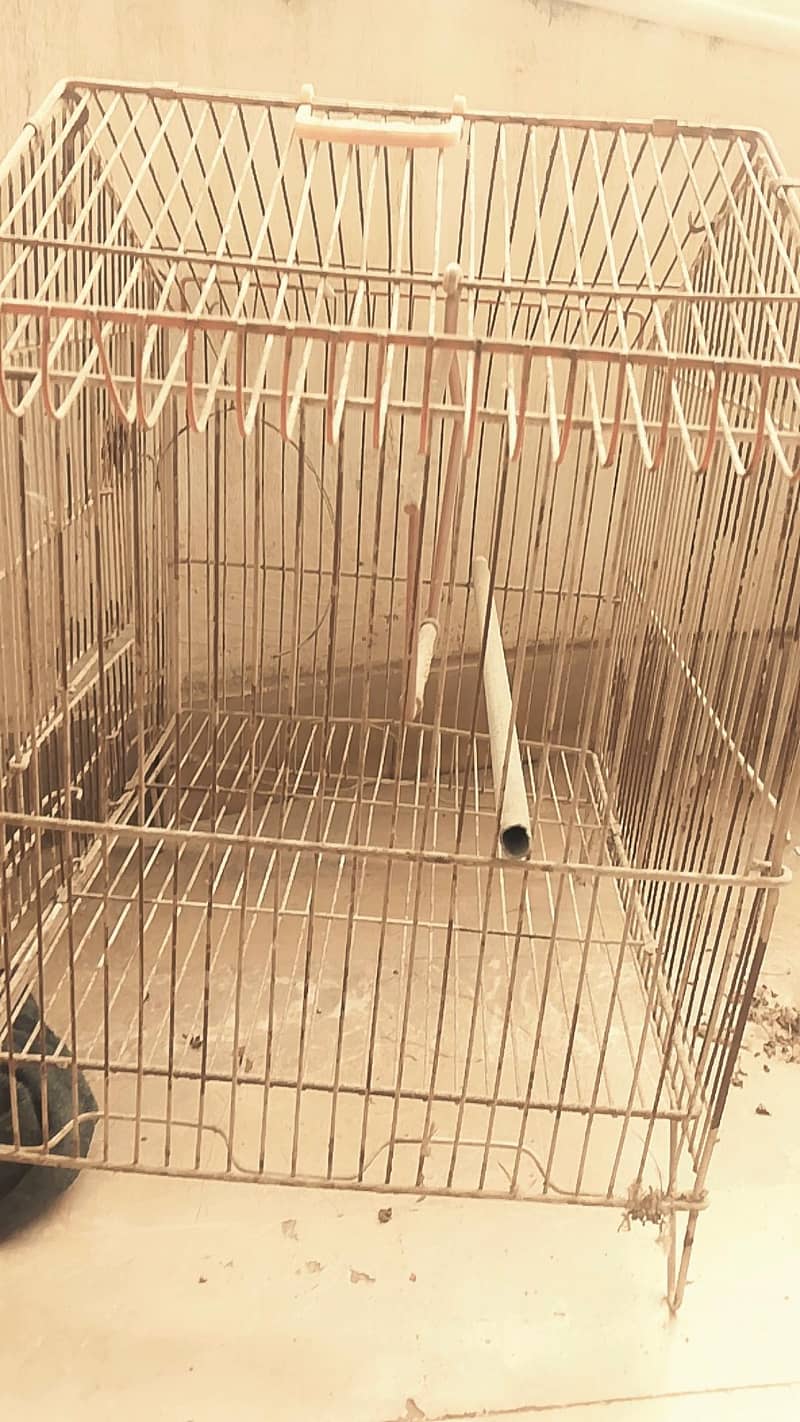 Bird Cage 3