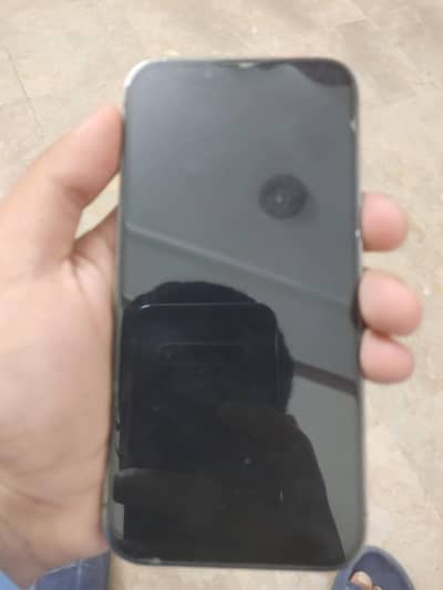 Apple iPhone 13 Pro