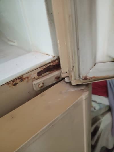 Pel fridge  midiuam size 13500