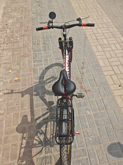 Cycle Phoneix