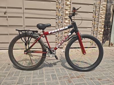 Cycle Phoneix