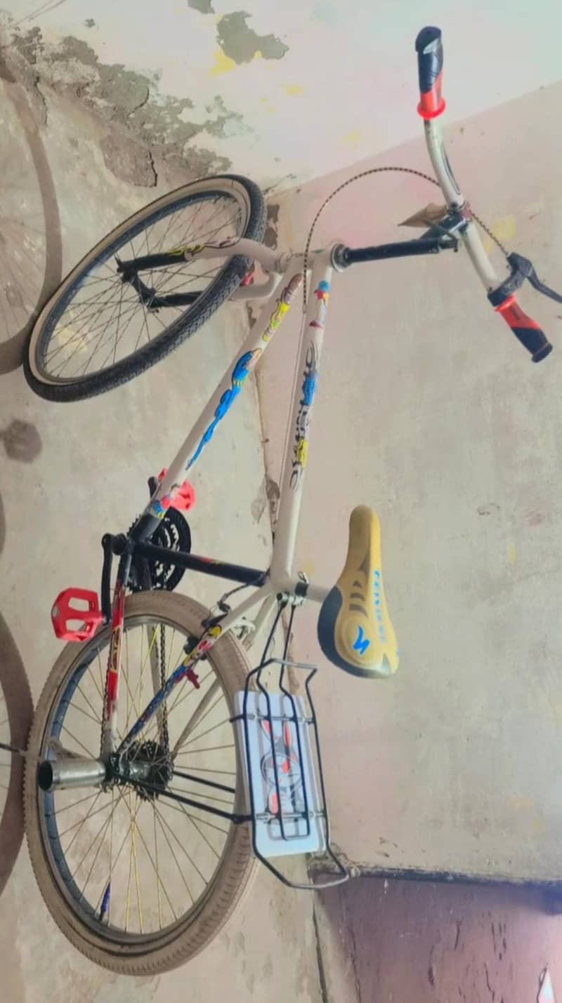 bicycle 4