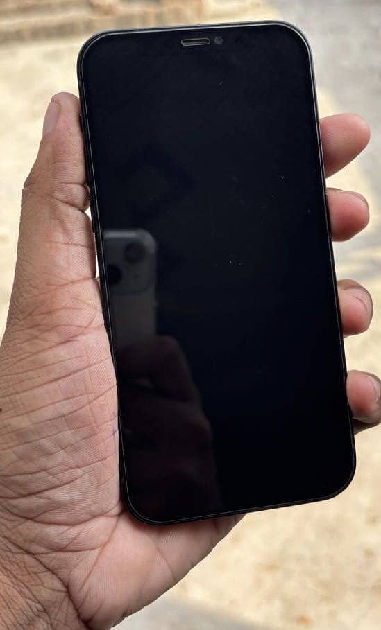 Apple iPhone 12 1