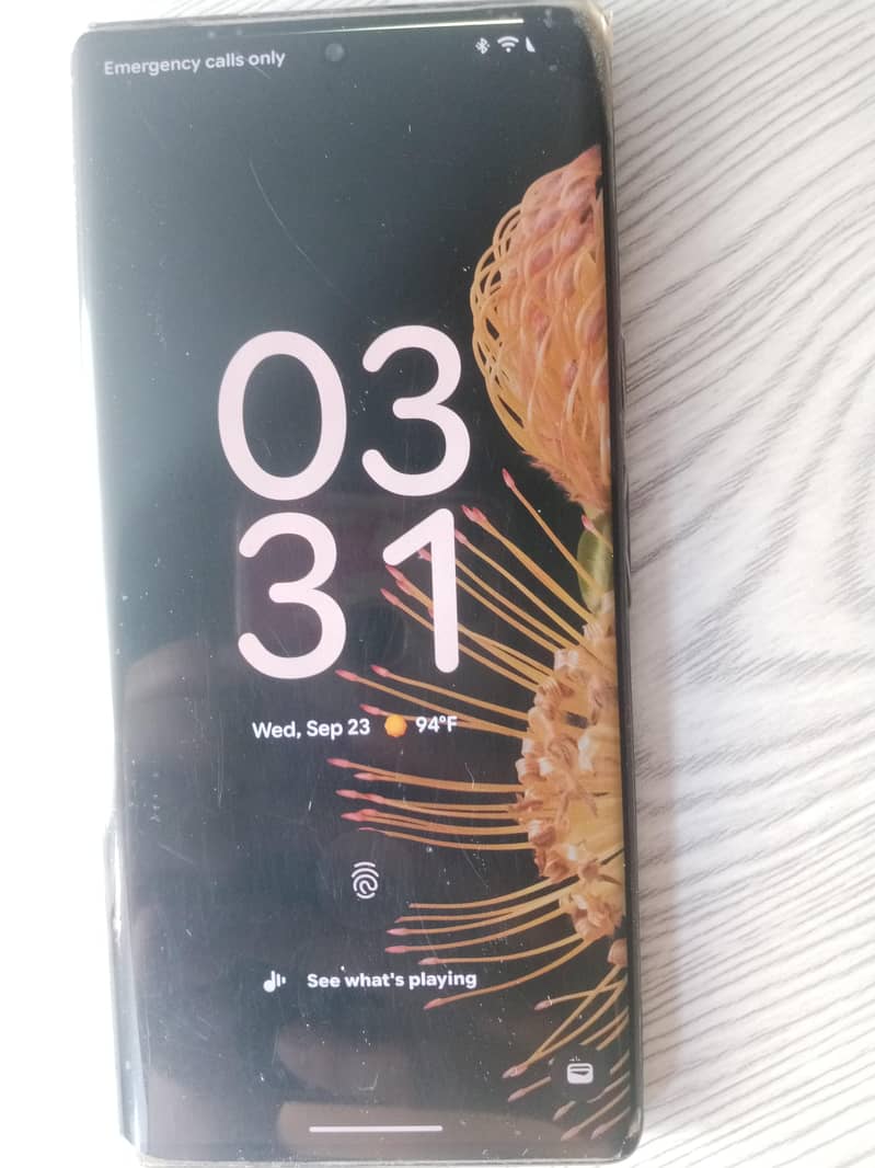 Google Pixel 6 Pro 2
