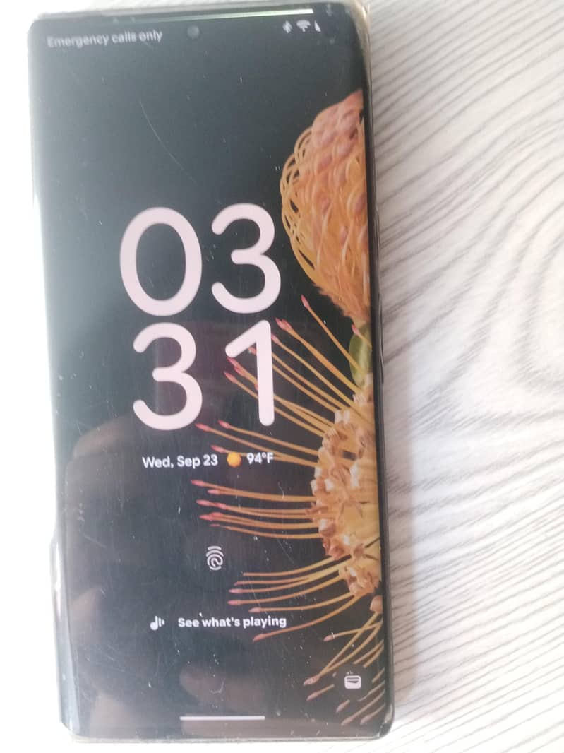 Google Pixel 6 Pro 3