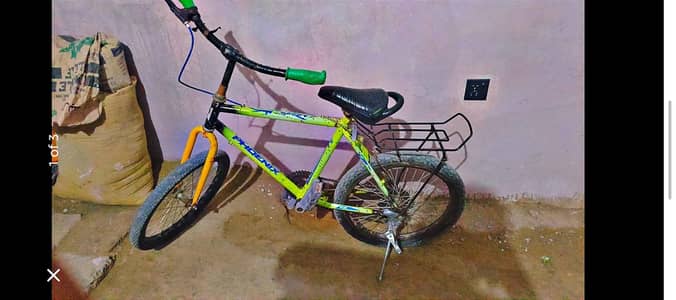 cycle phonix