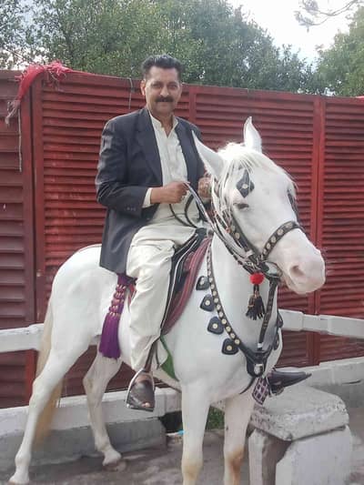 Muhammad Naeem 