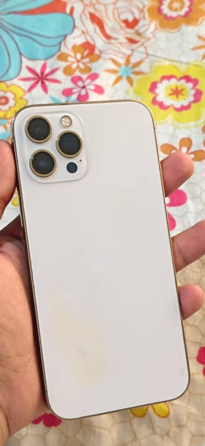 Apple iPhone 12 Pro Max